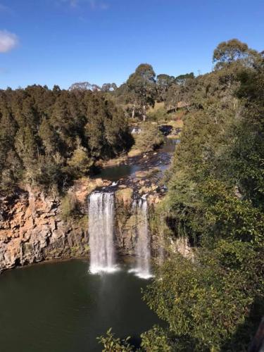 Dangar Falls Dorrigo NSW