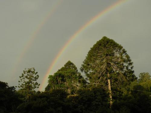 Rainbow over the Bunya Pines at Bunya Mountains QLD